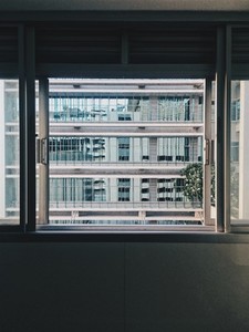 Window view of building