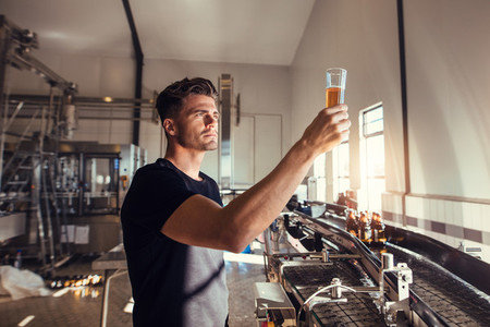 Young man examining the quality of craft beer at brewery