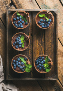 Homemade Tiramisu dessert with cinnamon  mint leaves and fresh blueberries
