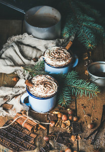 Hot chocolate with whipped cream  nuts  spices and fir tree branches