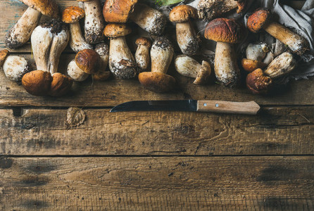 White forest mushrooms and knife on rustic wooden background