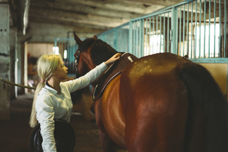 The girl takes care of the horse