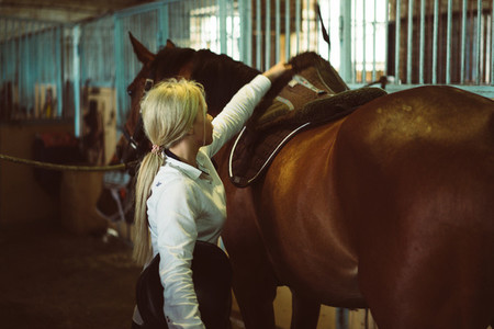 The girl takes care of the horse