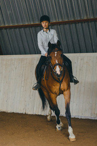 A girl on horseback riding an arena