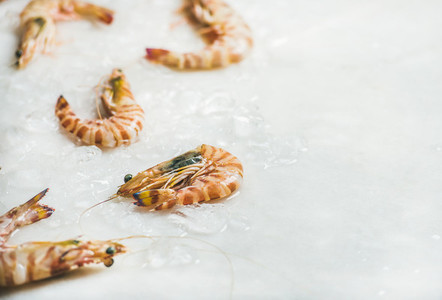 Raw tiger prawns on chipped ice copy space
