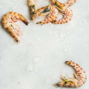 Uncooked tiger prawns on chipped ice square crop