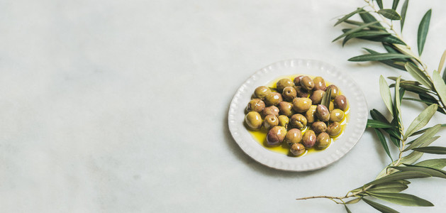 Pickled green Mediterranean olives and olive tree branch  wide format
