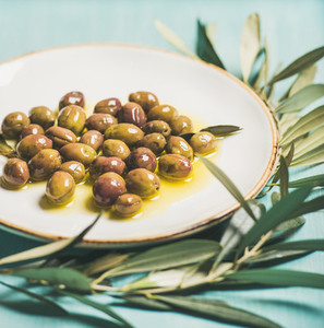 Pickled olives on plate and olive tree branch over blue background