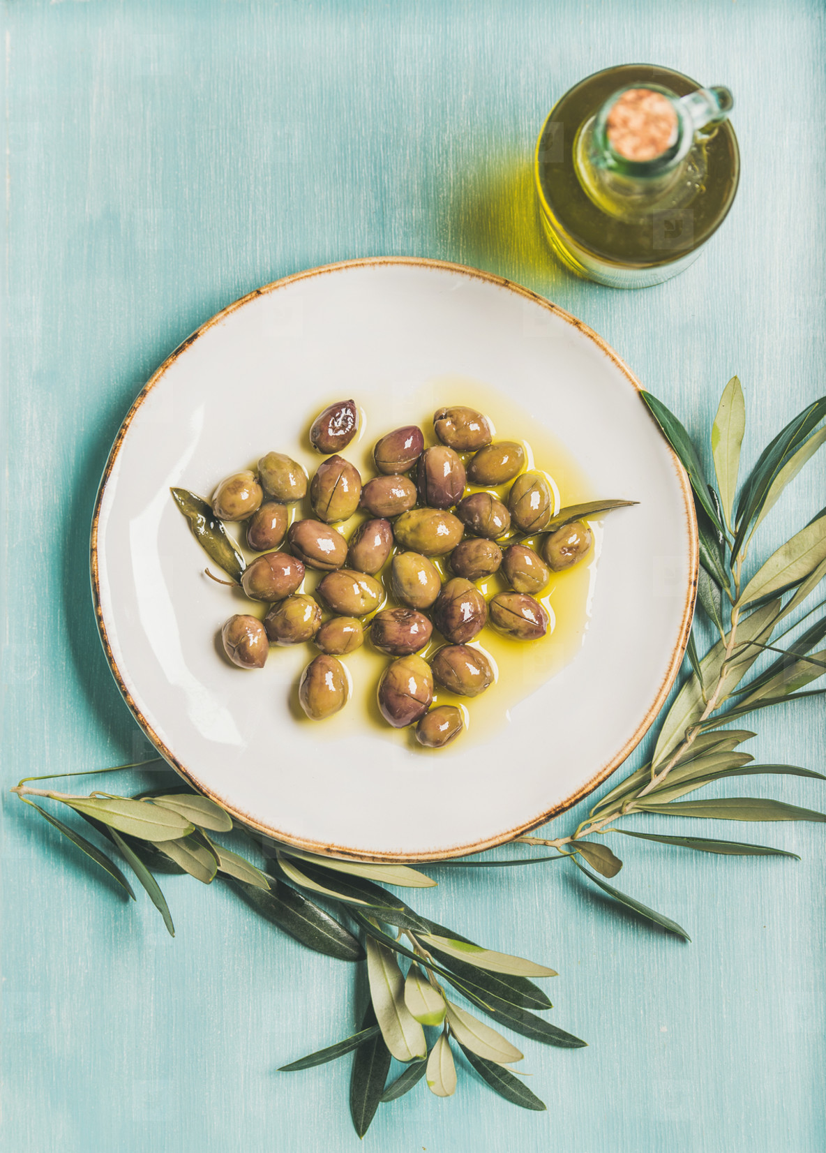 Pickled green olives  olive tree branch  virgin oil  blue background
