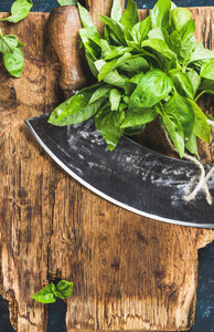 Fresh basil and vintage herb chopper on rustic wooden bord