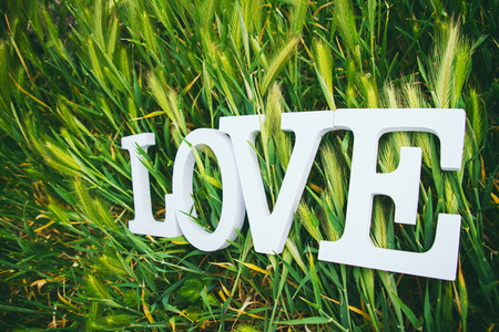 Love word over grass