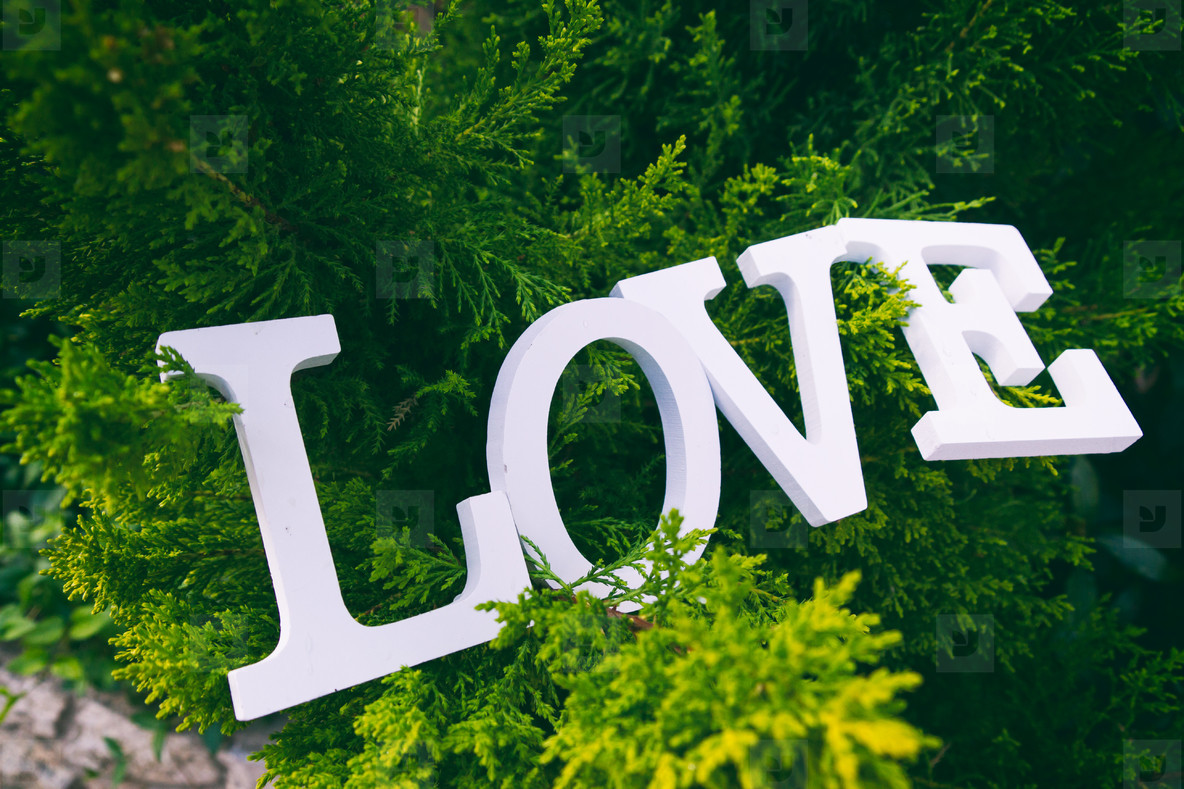 Love word and green background