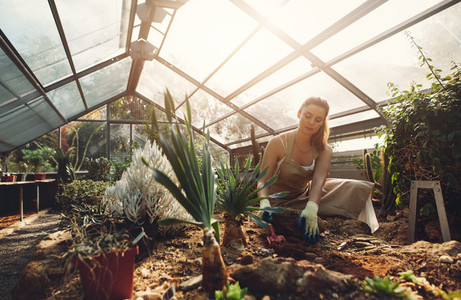 Young woman working in a greenhouse