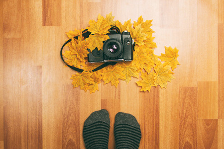Camera  leaves and feet