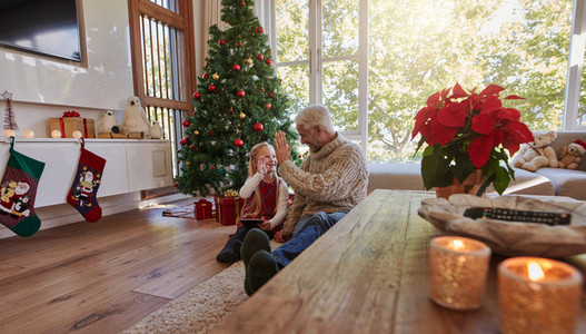 Mature man giving high five to his granddaughter at home