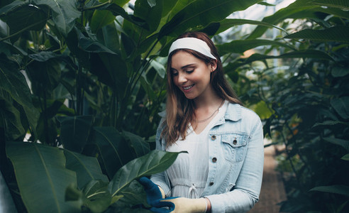 Beautiful woman working in greenhouse