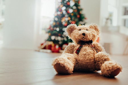Teddy bear as Christmas gift for children
