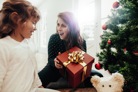 Mother presenting Christmas gift to daughter