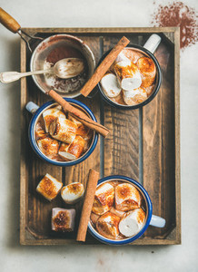 Hot chocolate with cinnamon and roasted marshmallows