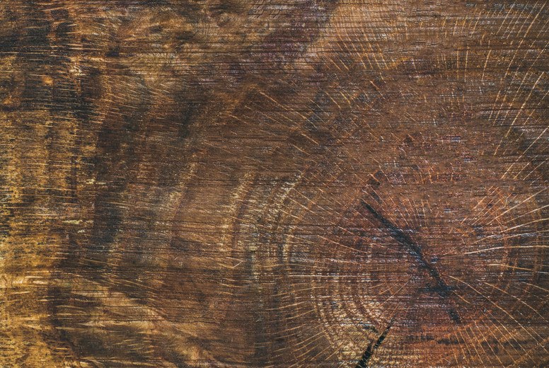Texture saw cut of the wood logs