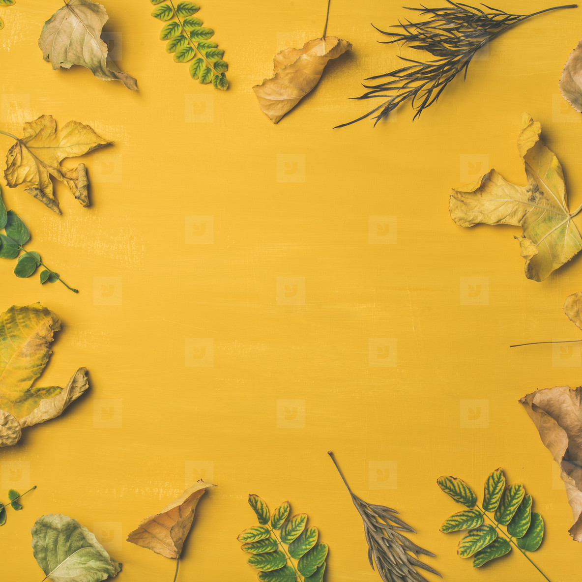 Autumn or Fall pattern, background and texture over yellow background stock  photo (133775) - YouWorkForThem