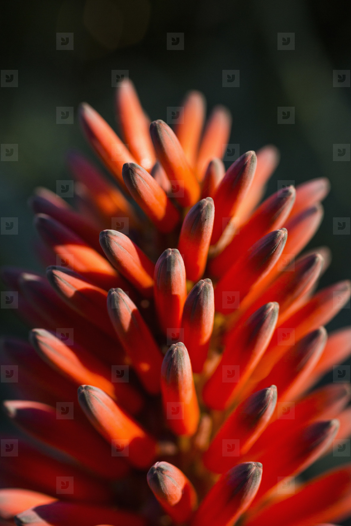 Where The Trail Divides  01