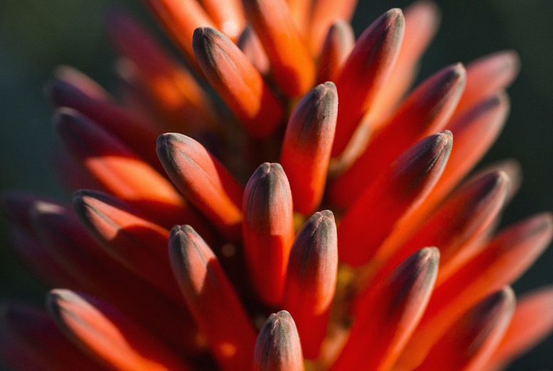 Where The Trail Divides #01