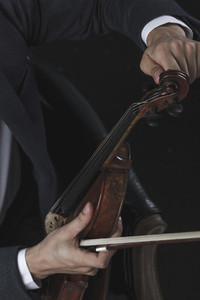 The Violinist 13