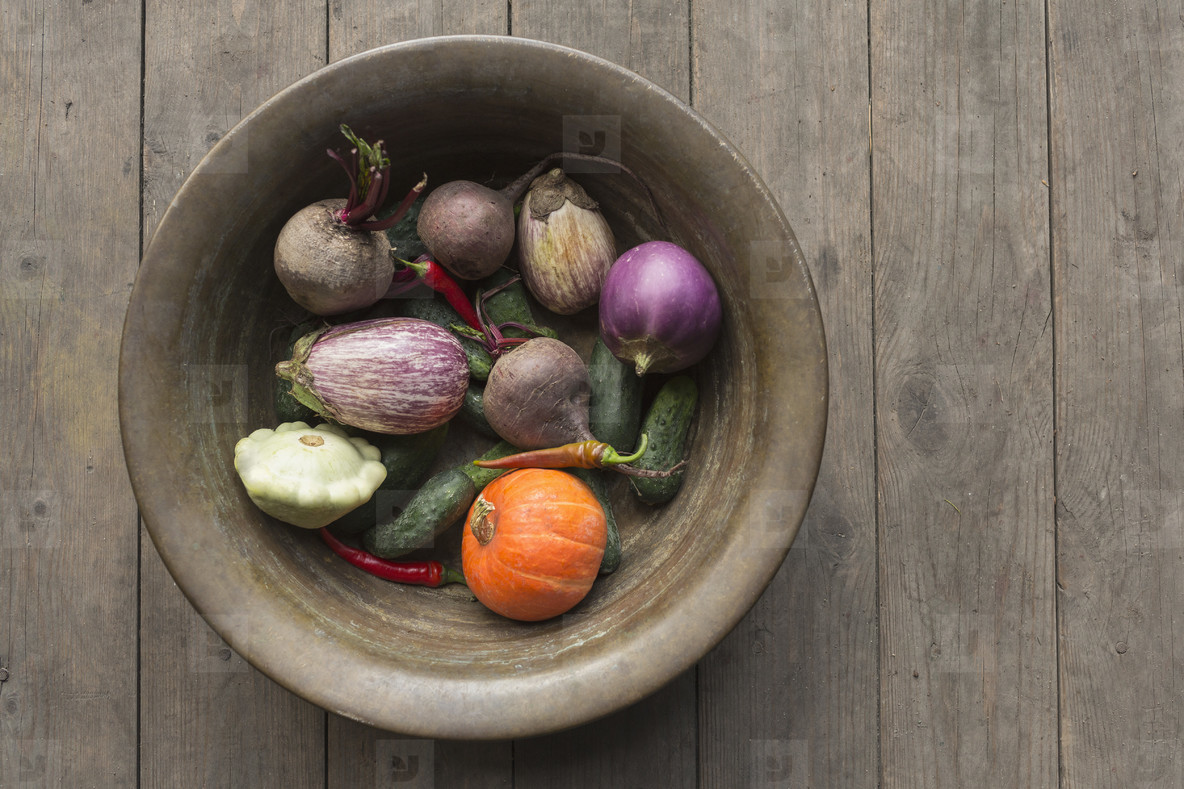 Suburban Activity 48