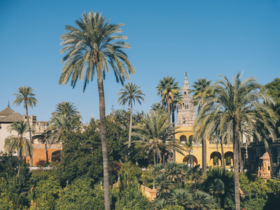 View of the Royal Gardens of the Alcazar of Seville