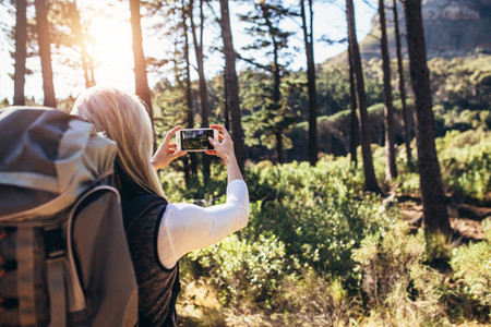 Woman hiker taking photograph in forest