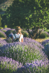 Young woman with backpack standing in lavender field  Isparta  Turkey
