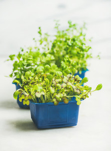 Fresh spring green live radish kress sprouts white marble background