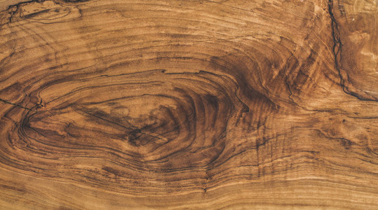 Olive wood slab texture  background