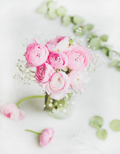 Light pink ranunkulus flowers in vase on white background
