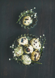 Quail eggs in molds and dried wild flowers for Easter
