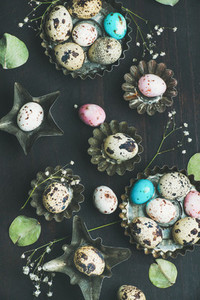 Colorful quail eggs in molds dried wild flowers leaves