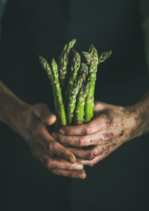Bunch of fresh green asparagus in dirty man s hands