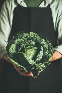 Man wearing black apron keeping fresh green cabbagein in hands
