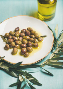 Pickled green olives  olive tree branch  virgin oil  selective focus