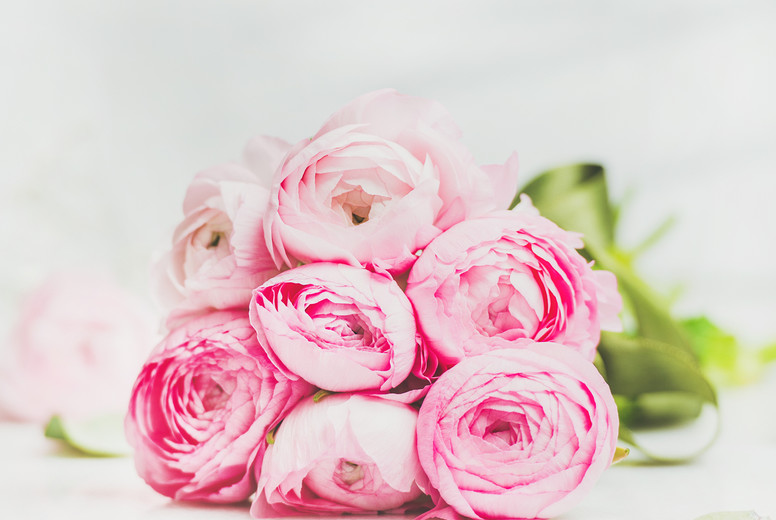 Light pink spring ranunkulus flowers on marble background, square crop