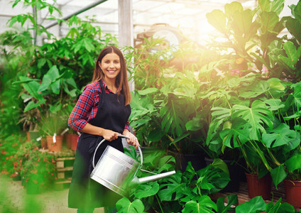 Young woman watering Delicious Monster plants