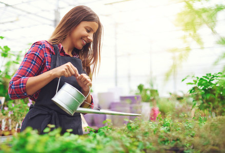 Young nursery owner watering potted plants