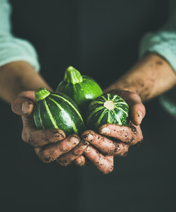 Man wearing black apron holding fresh green zucchinis in hands
