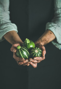 Farmer in black apron holding fresh green zucchinis