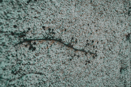 texture of a concrete wall