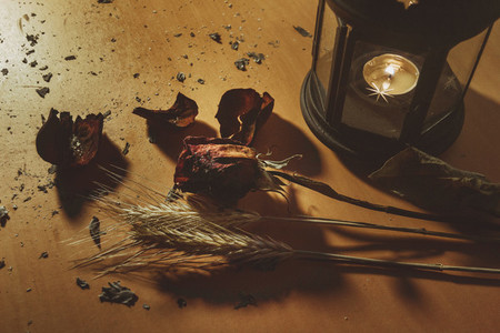 dried red rose flower in a wooden background