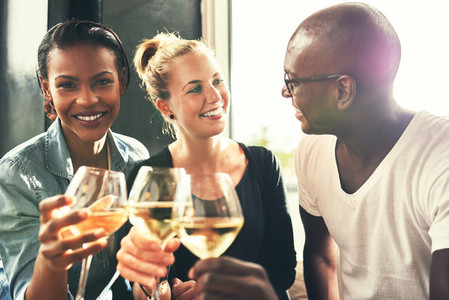 Ethnic friends drinking wine at a bar