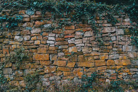 Texture of a wall in the mountain
