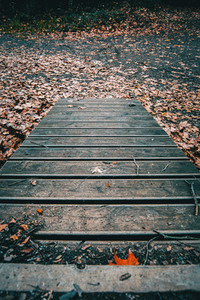 Autumnal path of wooden boards